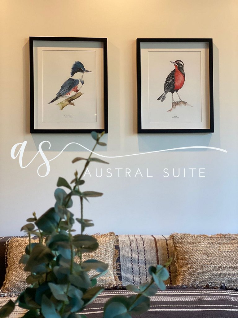 Depto. primera línea Playa Pucon