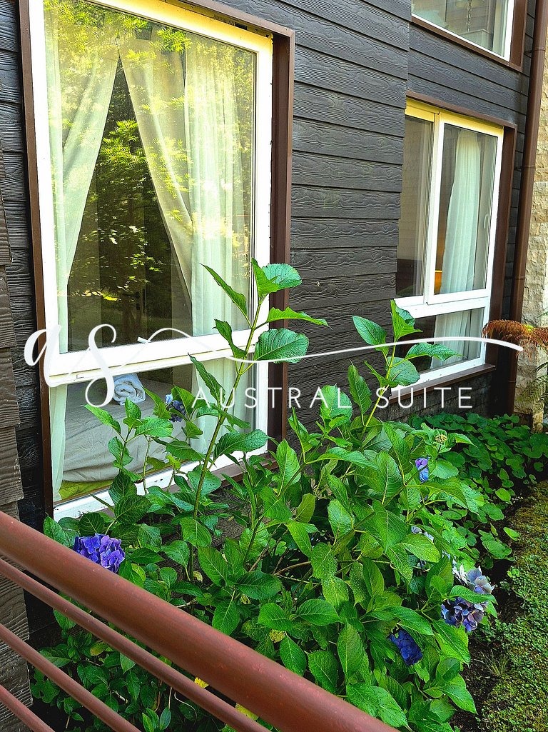 Departamento privado a minutos de Pucón